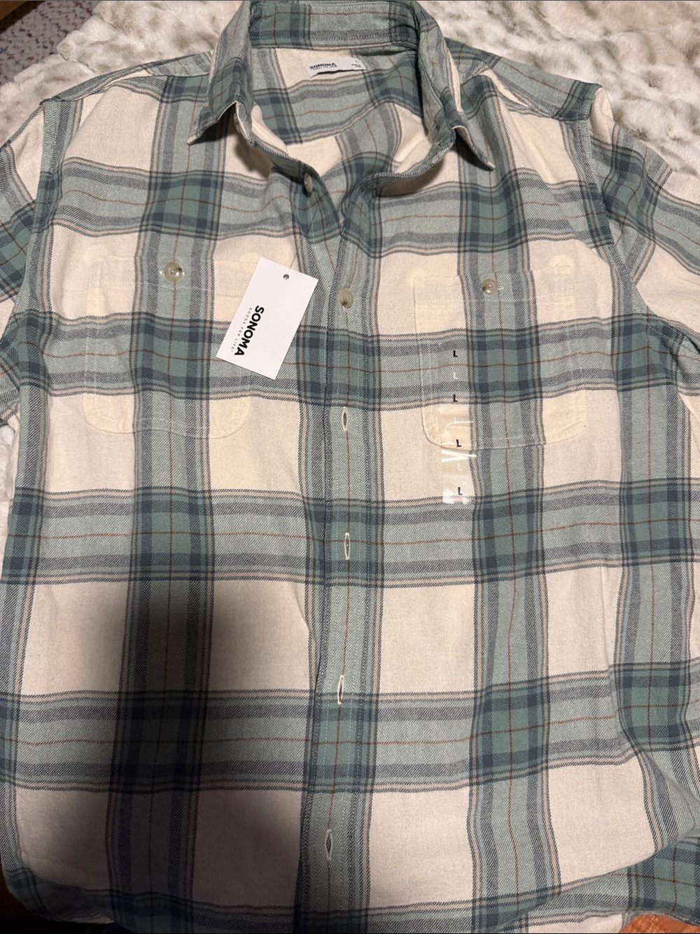 Sonoma Plaid Button-Down Shirt in Cream and Teal Green